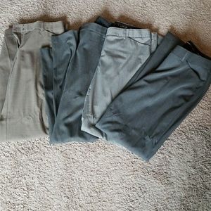 Express dress pants